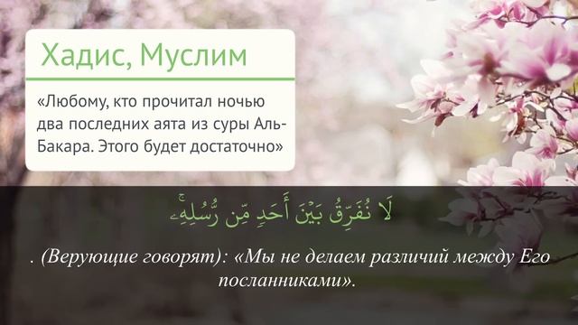 Аль Фатиха, аятуль Курси, Бакара 284-286, Ихлас, Фаляк, Нас х7 - избавление от проблем и болезней смотреть онлайн