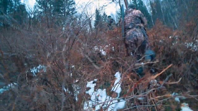 Осенняя охота. Что можно найти в тайге. Инструменты лова браконьеров. Охота на рябчика. Серия 2. смотреть онлайн