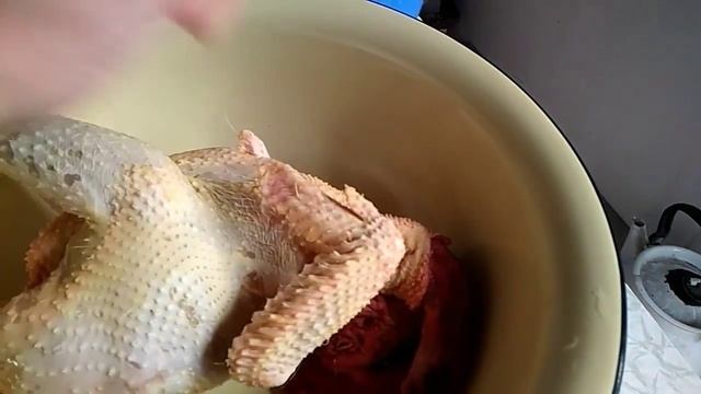 Забой молодого ? петуха/Вес тушки до и после.. смотреть онлайн