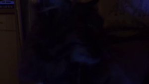 Тест флуоресцеином. Проходимость носослезного канала. Лампа Вуда