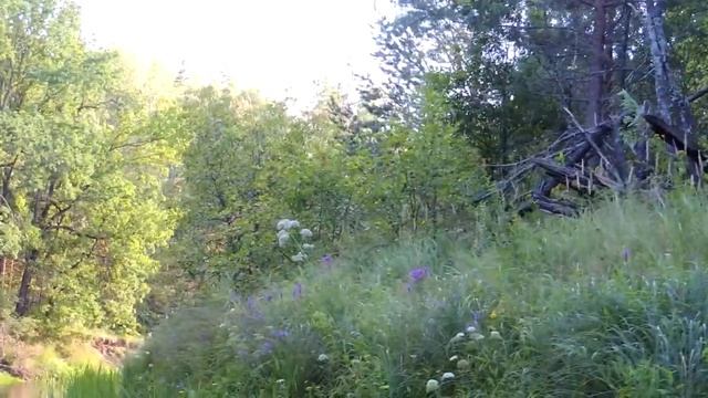 Поход Сережа-Теша 2015 г. Часть 2 смотреть онлайн