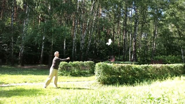 Легкий самолётик, возвращающийся в руки смотреть онлайн