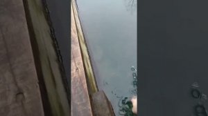 Отпуск. Сочи. Февраль 2021. День 5. Термальные источники