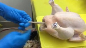 Потрошение птицы в домашних условиях легко и быстро. Лайфхак.