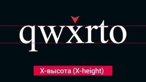 Из чего сделаны Буквы?/Анатомия шрифта ч.1
