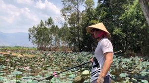 Vlog 06 Рыбалка на озере лотосов, г. Нячанг 🇻🇳 Câu cá hồ hoa sen