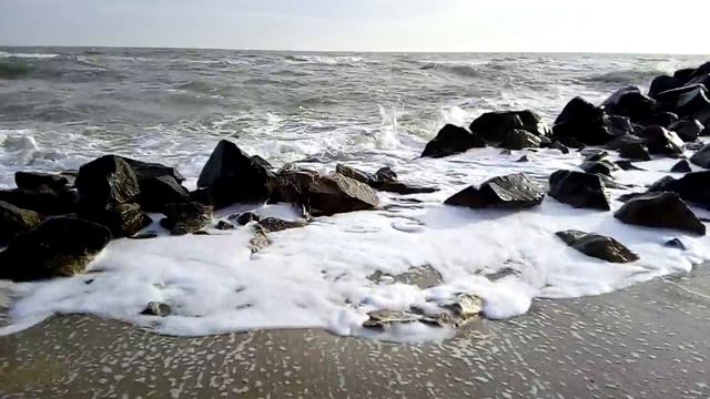 Морская пена на Азовском море. Бердянская коса.