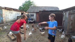 VLOG Каникулы в деревне жизнь в селе 3 серия