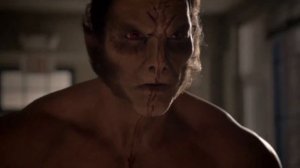 ТОП-5 СИЛЬНЫХ ОБОРОТНЕЙ В ВОЛЧОНКЕ [ЧАСТЬ 2]