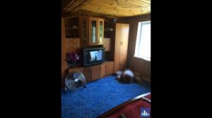 Дом за Волгой д. Глинники