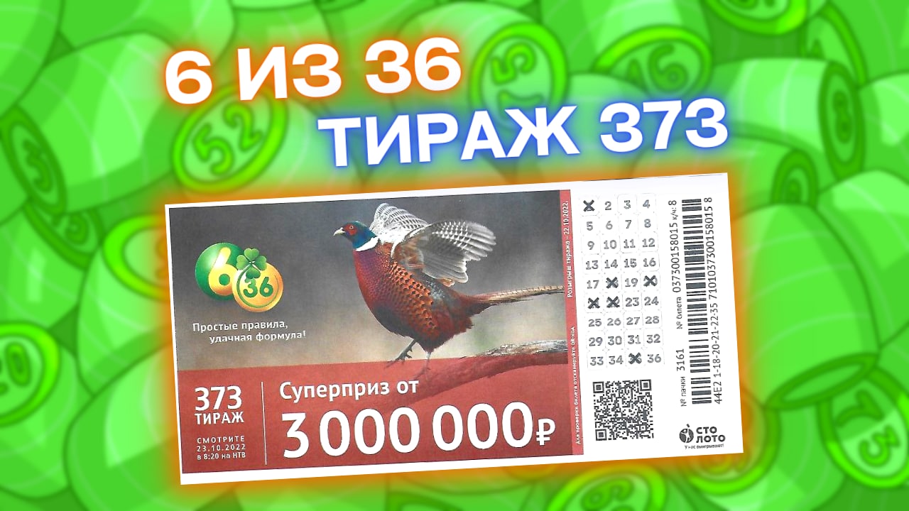 Проверяем лотерею 6 ИЗ 36 тираж 373, Эфир 23 октября, Лотерейный билет 6из36 373 тираж, Столото смотреть онлайн