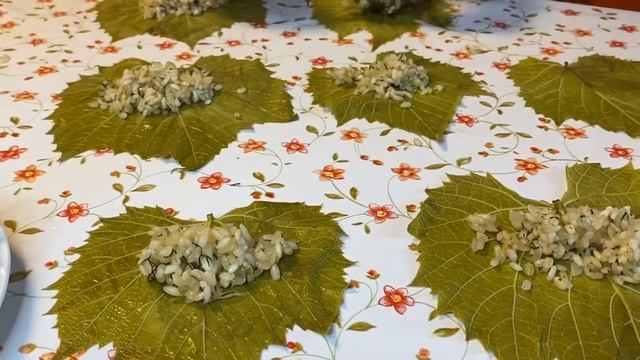 Любимый ТУРЕЦКИЙ рецепт.ДОЛМА без мяса с рисом и зеленью. Справится даже новичок