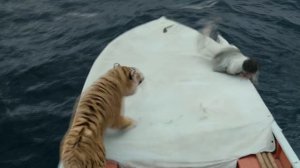Мальчик пытается выжить в открытом океане на лодке с голодным тигром