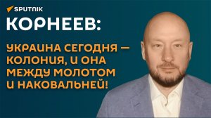 Корнеев: Украина сегодня - колония, и она между молотом и наковальней!