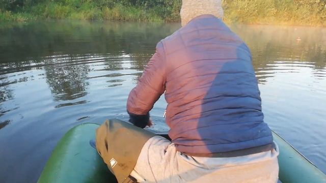 ЖОР ЩУКИ!!! Сентябрь 2020. Рыбалка на кружки. Ловля щуки в сентябре. Щука на кружки. Подмосковье. смотреть онлайн