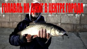 Голавль на джиг в центре города