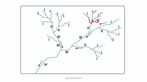 Stream ordering by Strahler | Drainage systems |Deepjyoti Mahanta