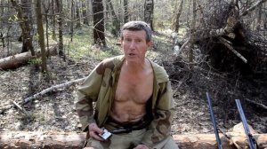 Вяхирь или витютень. Рассказы охотника