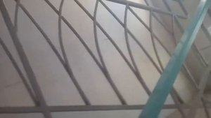 лифт Могилёвский лифт старый лист