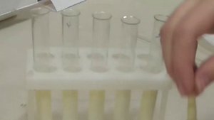 Анализ молока