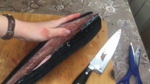 Рыба пеламида! Способ приготовления вкусной рыбы! #рецепты #пеламида #рыба