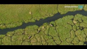 "ТҮШТҮК АФРИКА" ЖАНЫБАРЛАР ДҮЙНӨСҮ