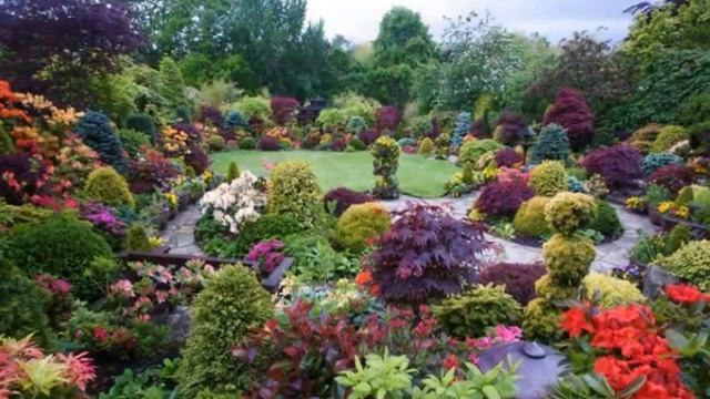 Видео для релаксации.wmv смотреть онлайн