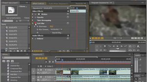 Видео фильтры и эффекты в Adobe Premiere