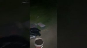 Как разговаривает Язь !!!!