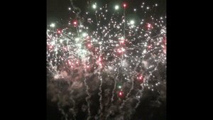 С 515 Blue tail blast red green dahlia w white strobe (CH) 25 сек Тип -W 1.2”x49 2/1 2023 №329