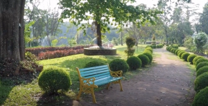 Пляж Варка, Кавелоссим, Дамба и Ботанический Сад, Храмы, Колва. Гоа. Индия. Февраль 2018.