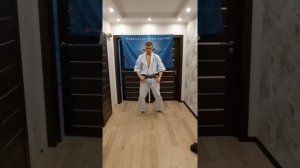 #2 КУДО. Кихон. Удары ногами на месте.