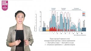 Периодизация. Урок 7.  Примеры периодизации в разных видах спорта