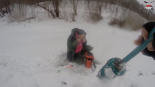 ЩУКА РАЗОГНАЛА РЫБУ! Поиск ПЛОТВЫ и ОКУНЯ. Зимняя рыбалка на Оке в феврале смотреть онлайн