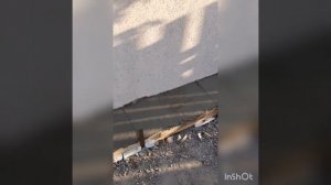 Пристрой на даче.Веранда.Летняя кухня.Фасад из пенопласта.