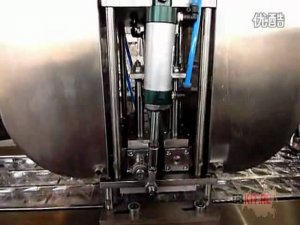 Термоформовочная упаковочная машина DPB 250