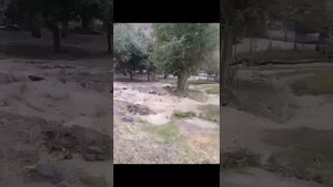 ВИДЕО СТРАШНОГО НАВОДНЕНИЯ В РУШАНСКОМ РАЙОНЕ ГБАО В ГОРАХ ПАМИРА/ СЕЛИ ДАҲШАТНОК ДАР ШУҶАНДИ РӮШОН