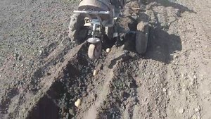 Картофель 2020.  Посадка картошки это легко мотоблоком с окучником