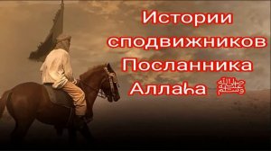 Истории сподвижников.Усама бин Зайд (да будет доволен ими Аллаh).