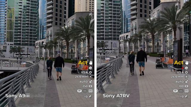 Sony A9 III ГЛОБАЛЬНЫЙ ЗАТВОР - обзор, тесты фото и видео возможностей и сравнение с Sony A7R V. смотреть онлайн