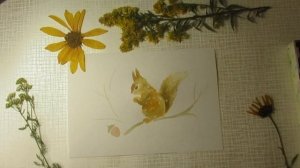 Рисуем осеннюю открытку акварелью. БЕЛКА И ДУБОК