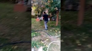 Данбай Теберда