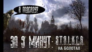 STALKER МОД НА БОЛОТАХ ЗА 9 МИНУТ.mp4
