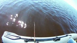 Рыбалка на белом море. 2020год.