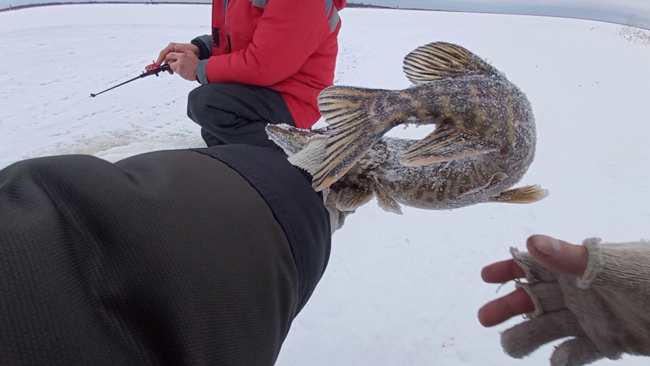 Мормышки для зимней рыбалки. Рыбалка в Дубно на Ладоге. Ловля щуки зимой на блесну. Окуневая мормышка зимняя. Щука в марту