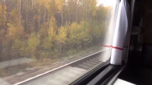 Поездка на скором поезде (вид из окна), от Агрыза до Можги