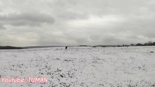 Лахиб отрываться, на Воле жеребенок. смотреть онлайн