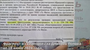 Прокуратура нашла признаки преступления в деле о высадке туй на проспекте Платовском.