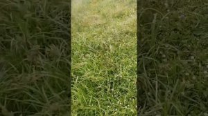 Рыбалка на Олхе