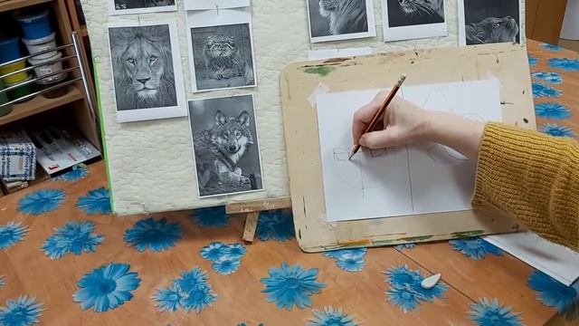 3.11.2021 Акимова Н.Р. Рисование плотоядных животных. Часть 1.  Голова